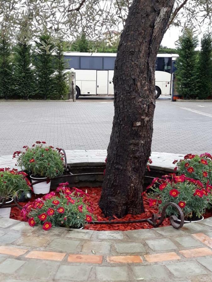 Drini Hotel Rrashbull Екстериор снимка